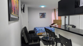 Luxury Apartment
